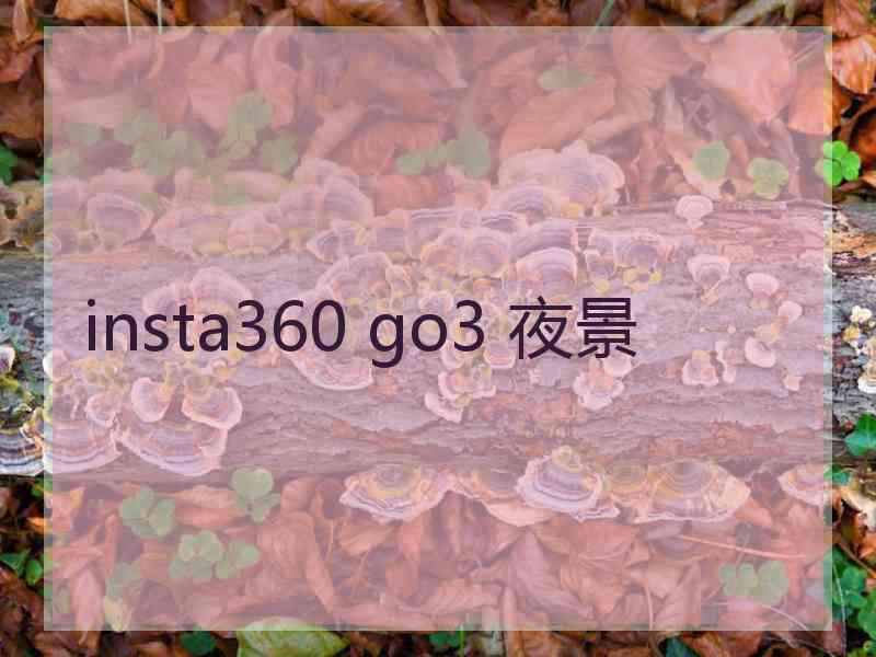 insta360 go3 夜景