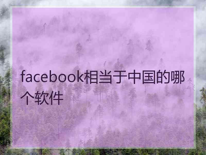 facebook相当于中国的哪个软件