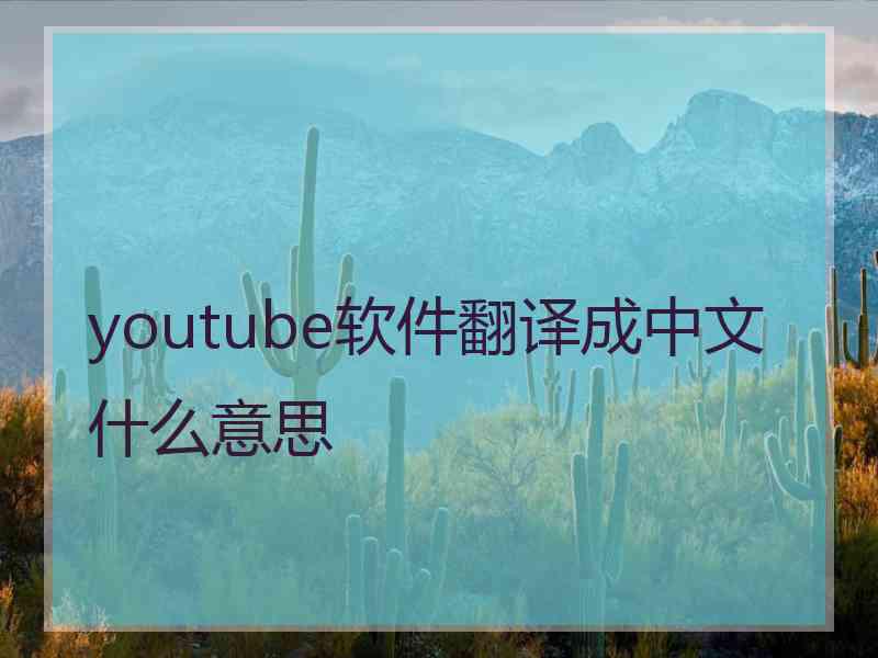youtube软件翻译成中文什么意思