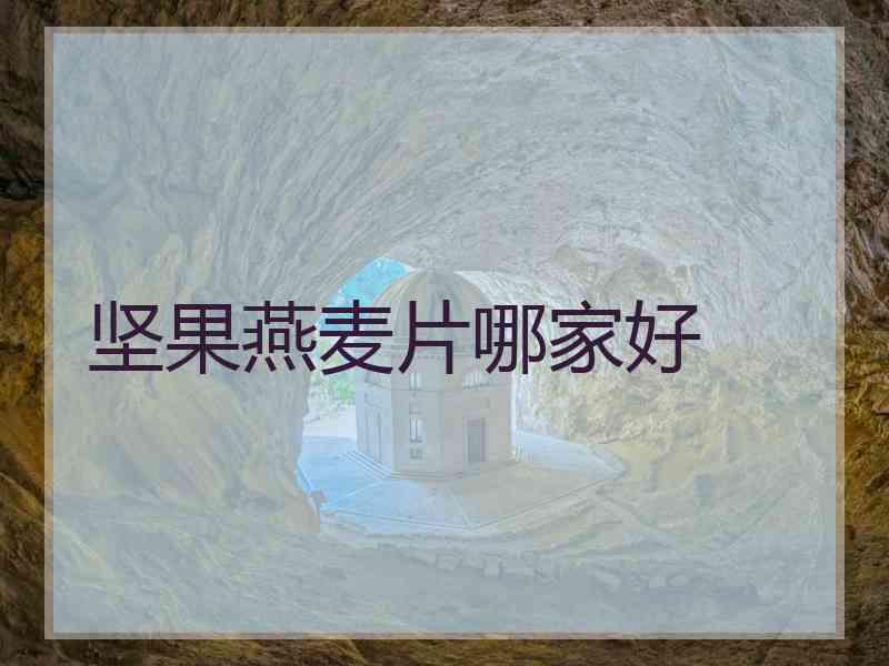 坚果燕麦片哪家好