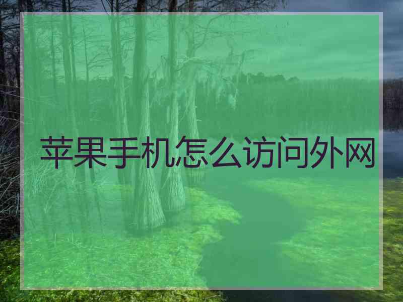 苹果手机怎么访问外网