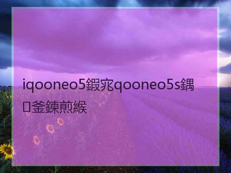 iqooneo5鍜宨qooneo5s鍝釜鍊煎緱