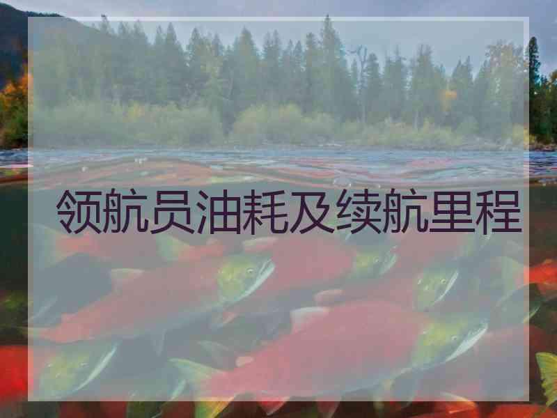 领航员油耗及续航里程
