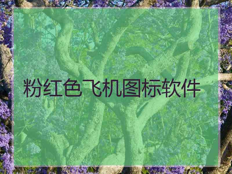 粉红色飞机图标软件