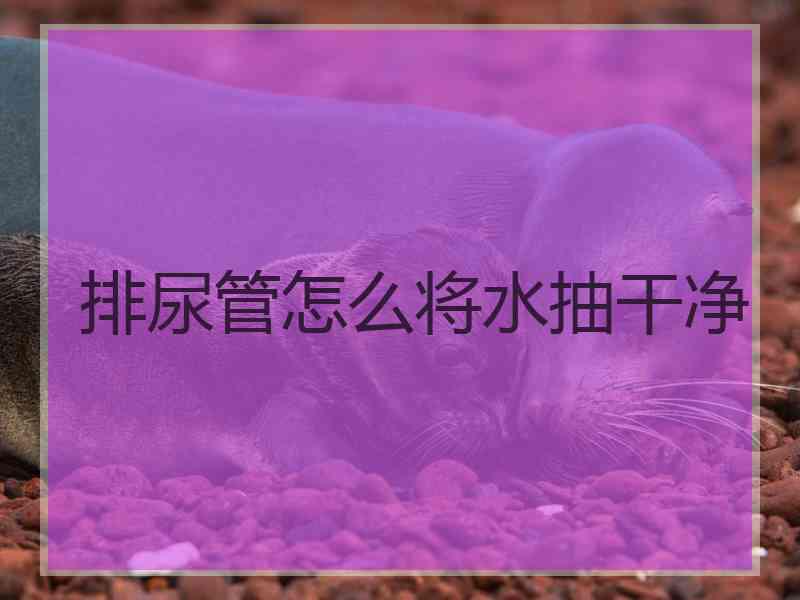排尿管怎么将水抽干净