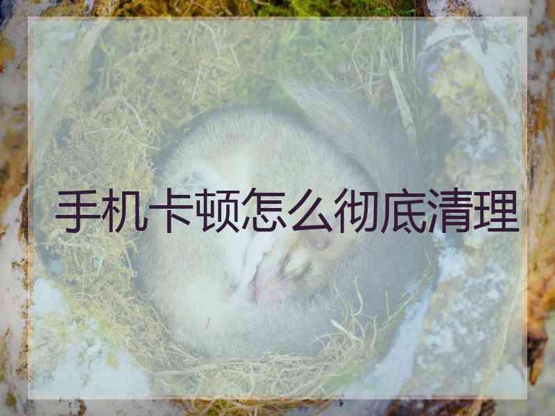 手机卡顿怎么彻底清理