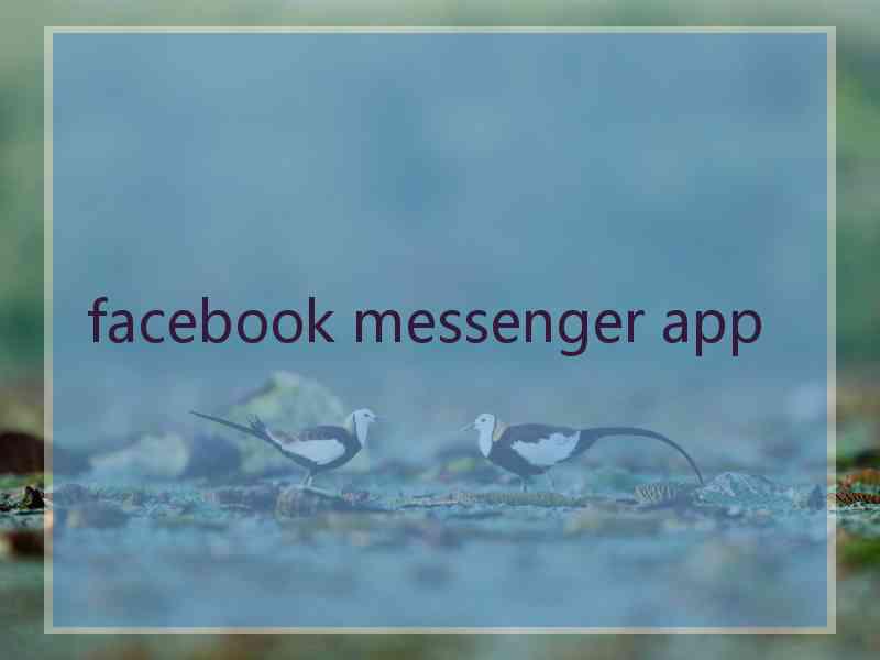 facebook messenger app