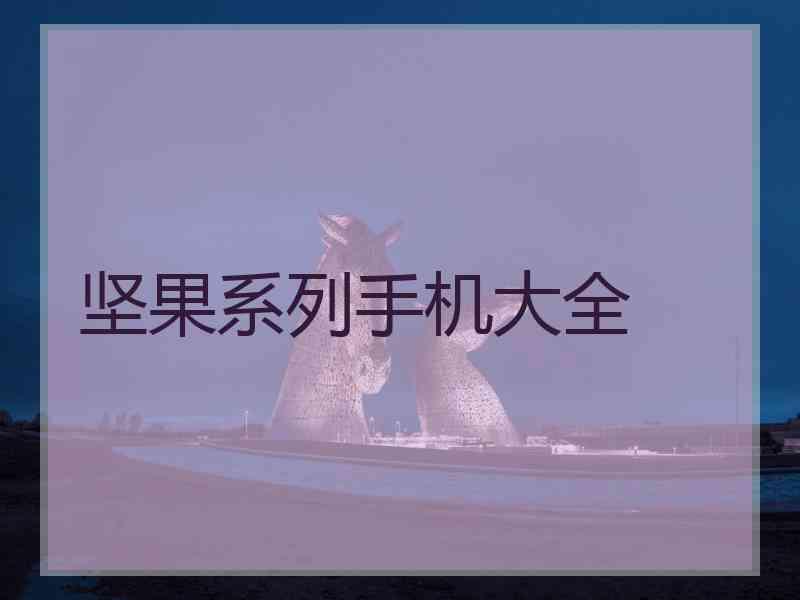 坚果系列手机大全