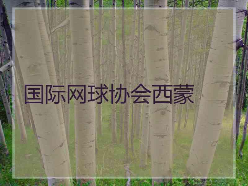 国际网球协会西蒙