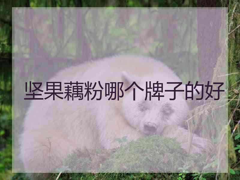 坚果藕粉哪个牌子的好