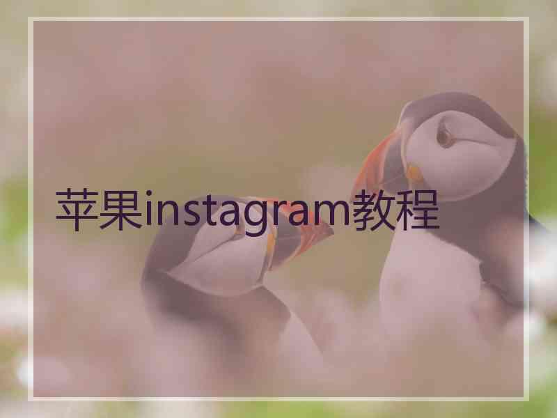 苹果instagram教程