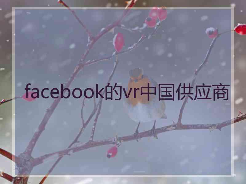 facebook的vr中国供应商