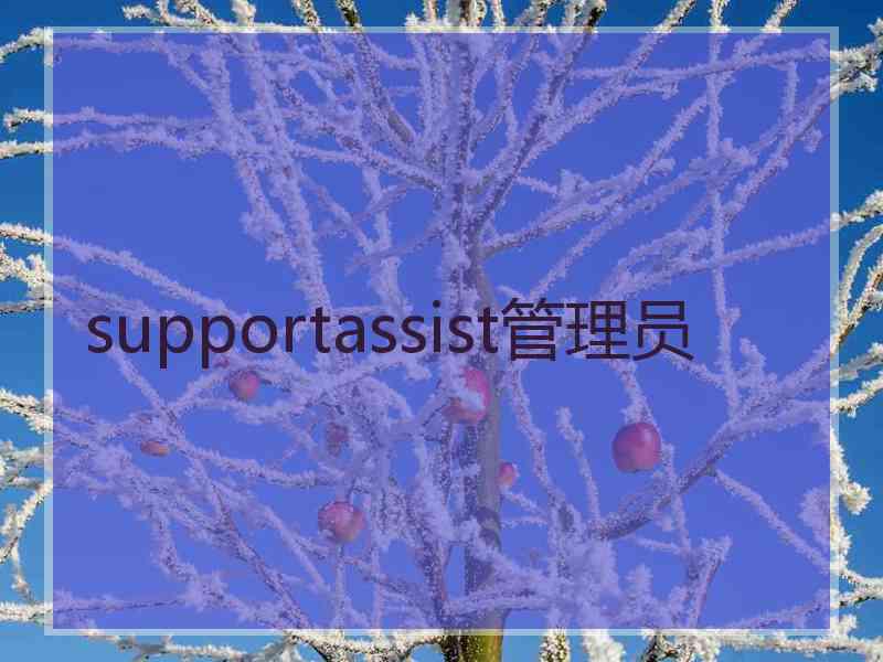 supportassist管理员