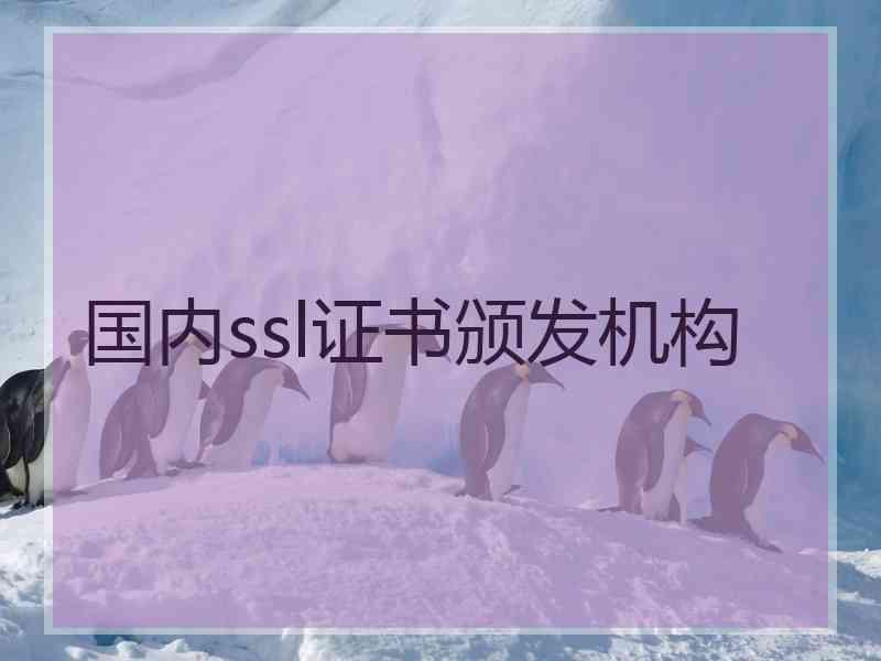 国内ssl证书颁发机构