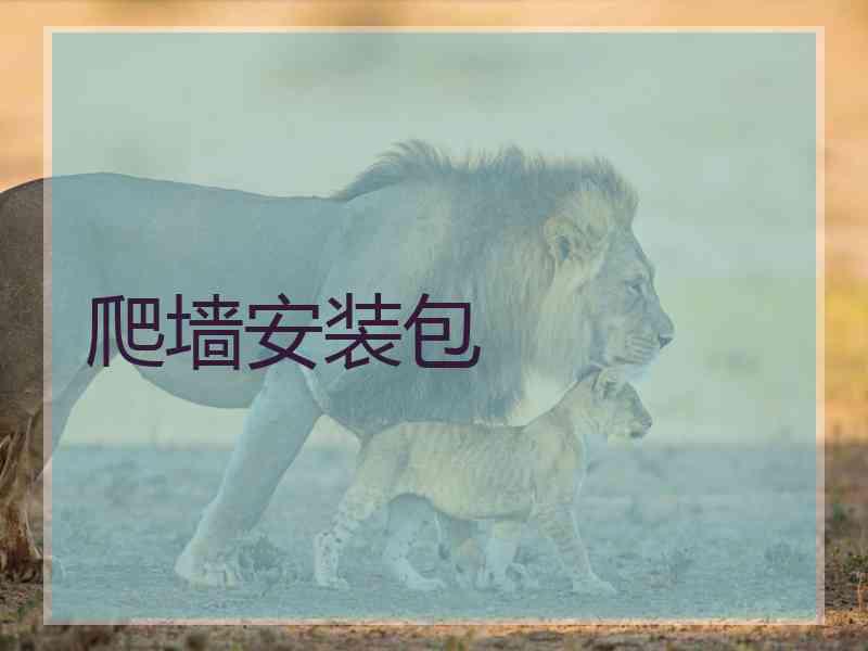 爬墙安装包