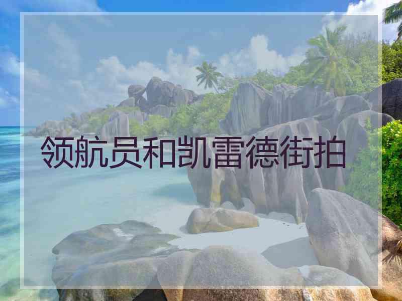 领航员和凯雷德街拍
