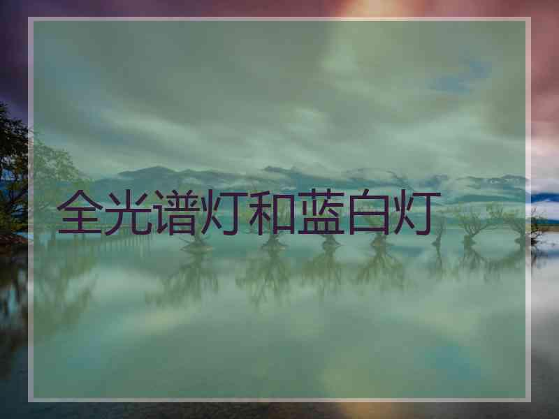 全光谱灯和蓝白灯