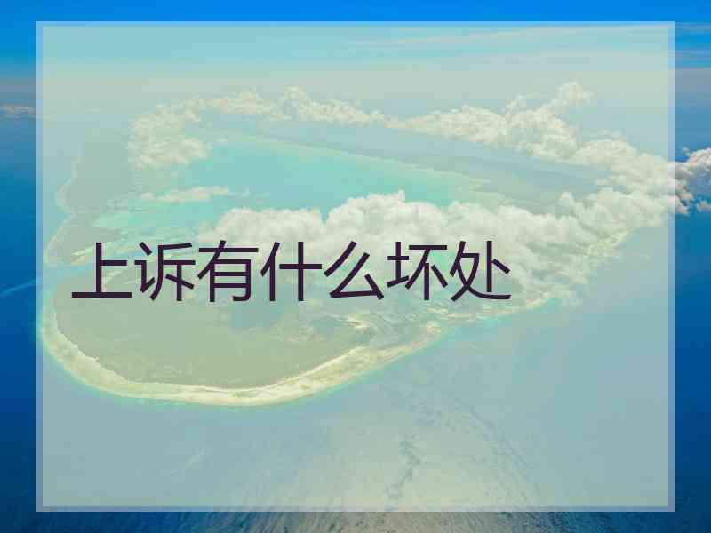 上诉有什么坏处