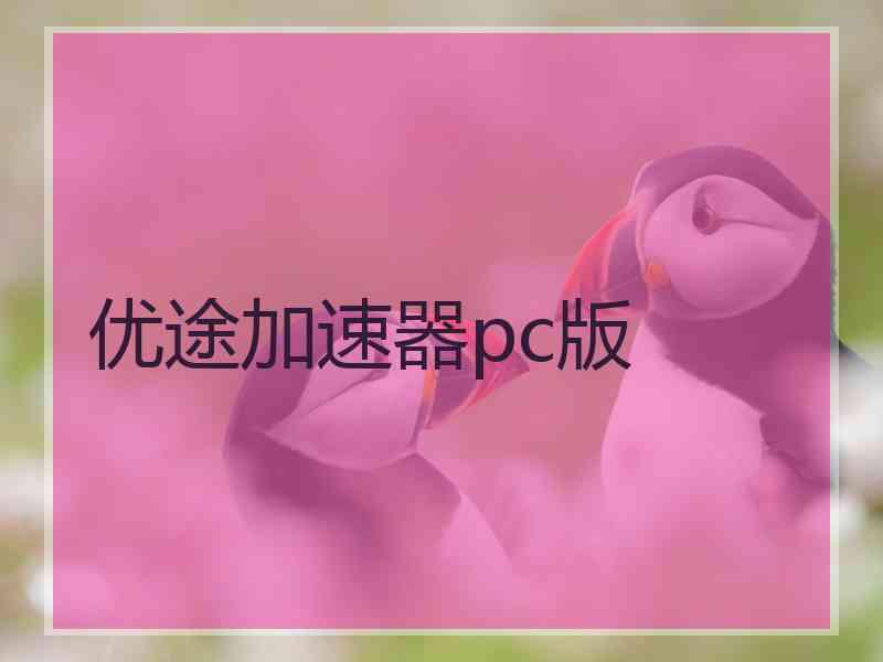 优途加速器pc版