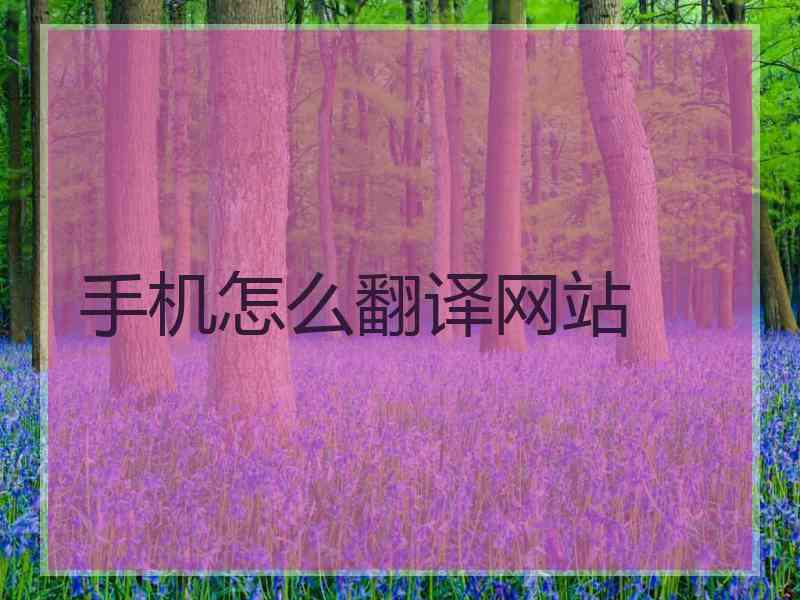 手机怎么翻译网站