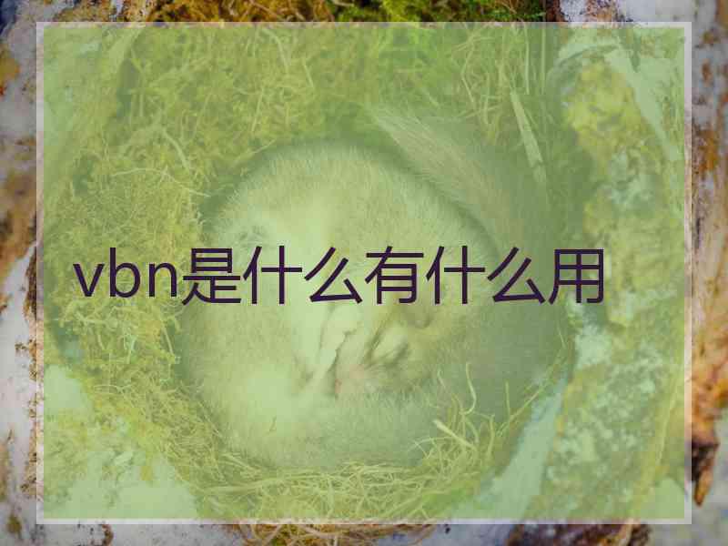 vbn是什么有什么用