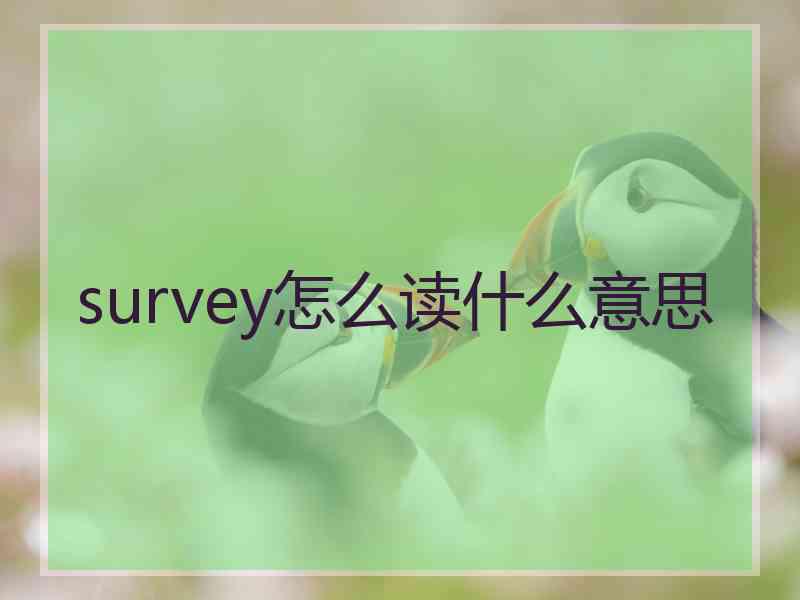 survey怎么读什么意思