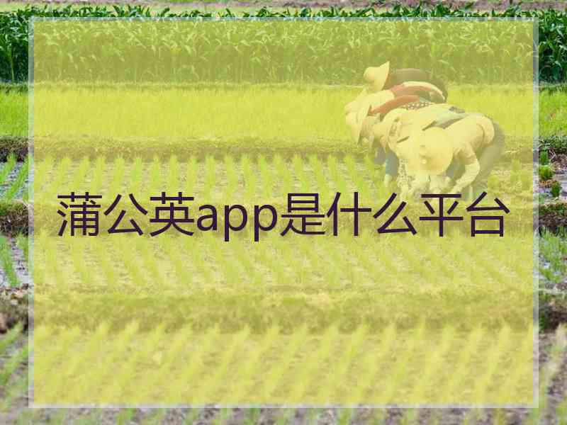 蒲公英app是什么平台