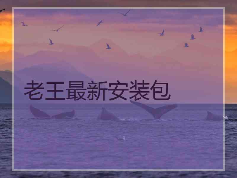 老王最新安装包