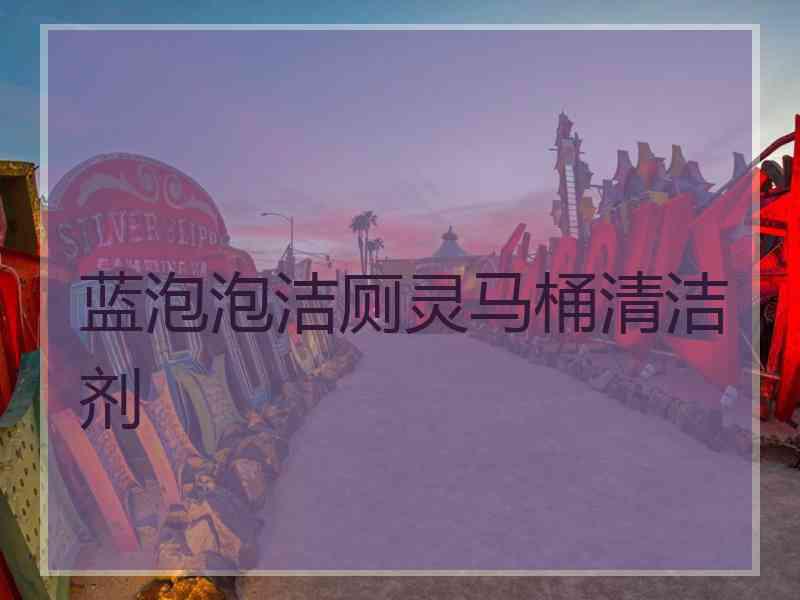 蓝泡泡洁厕灵马桶清洁剂