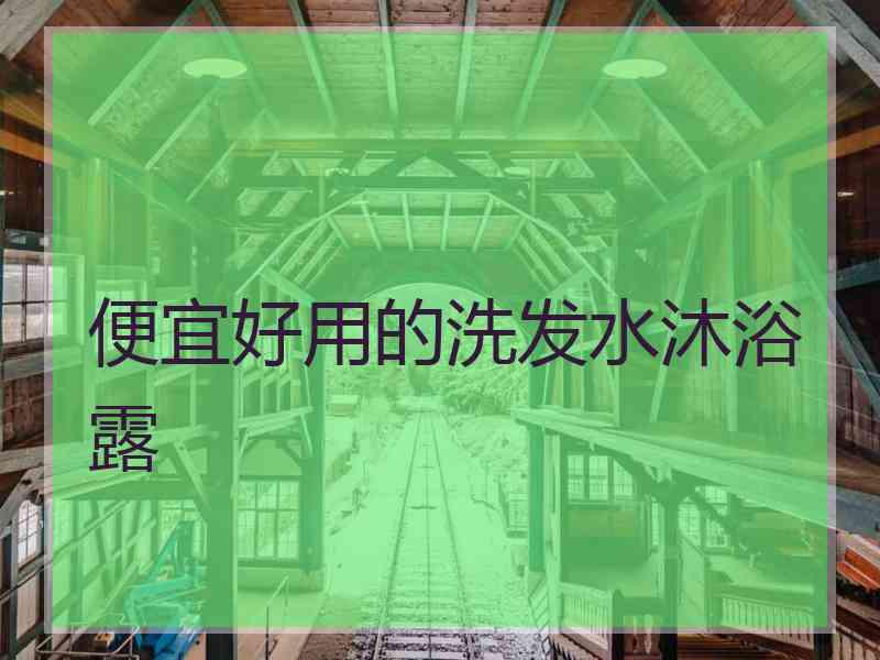 便宜好用的洗发水沐浴露