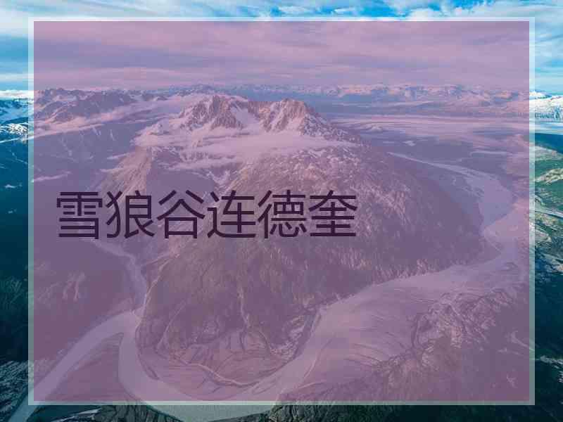 雪狼谷连德奎