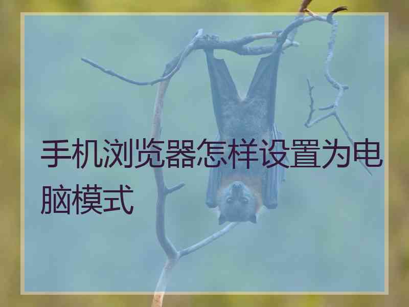 手机浏览器怎样设置为电脑模式