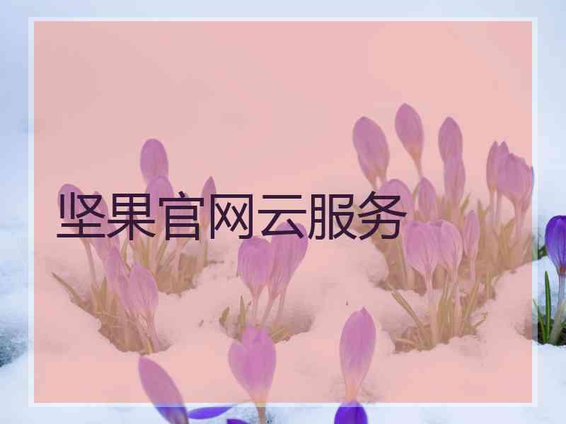 坚果官网云服务