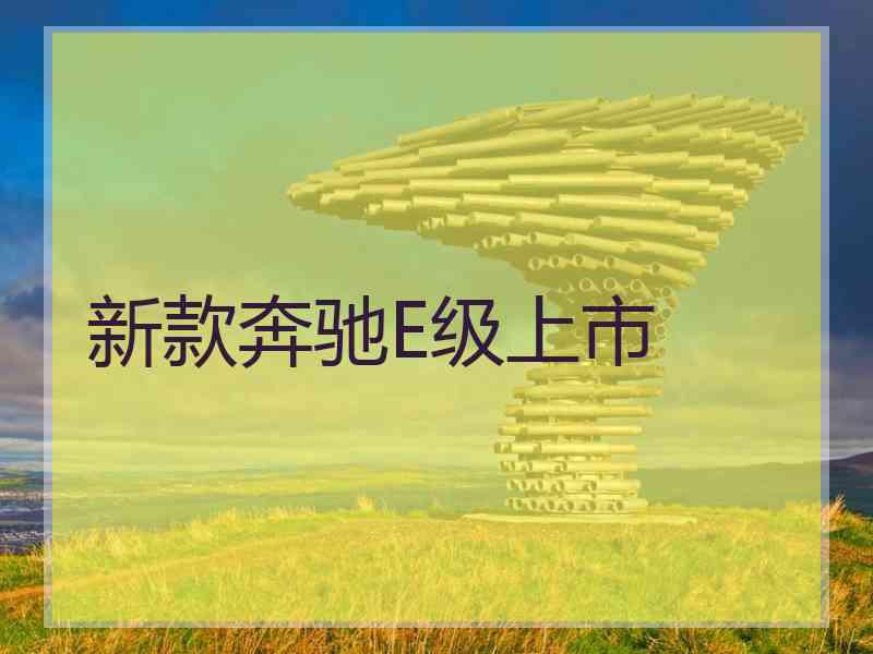 新款奔驰E级上市