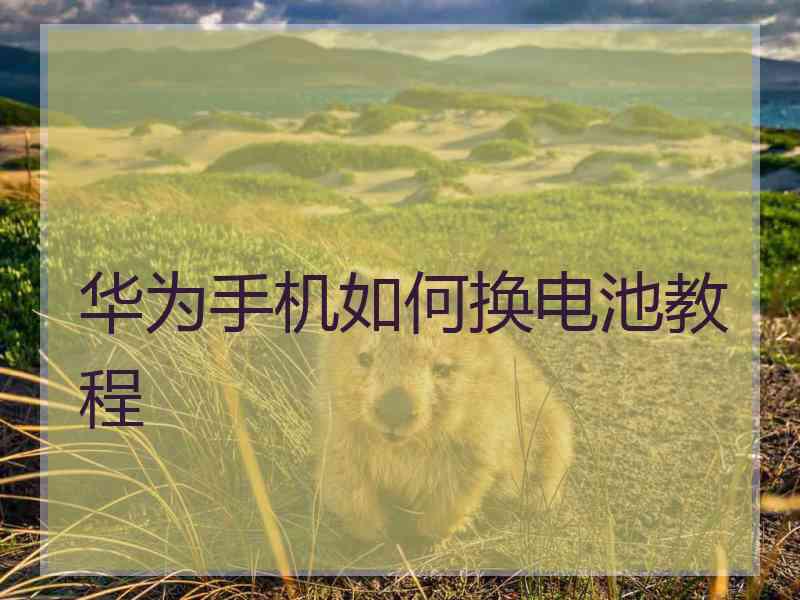 华为手机如何换电池教程