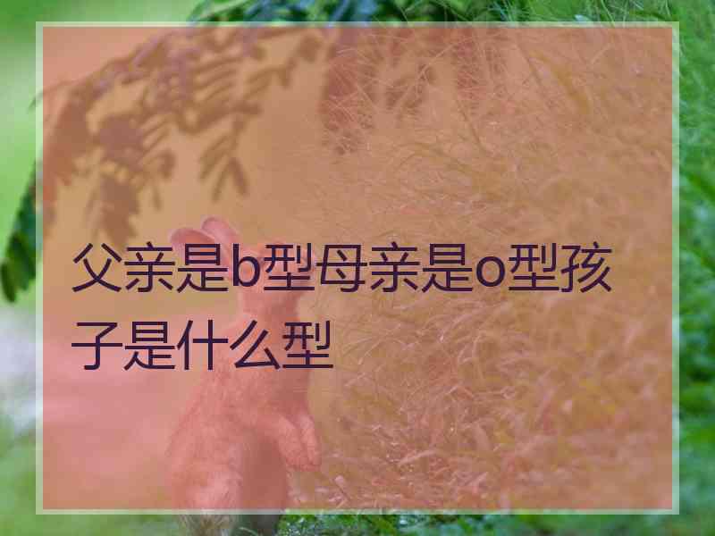 父亲是b型母亲是o型孩子是什么型