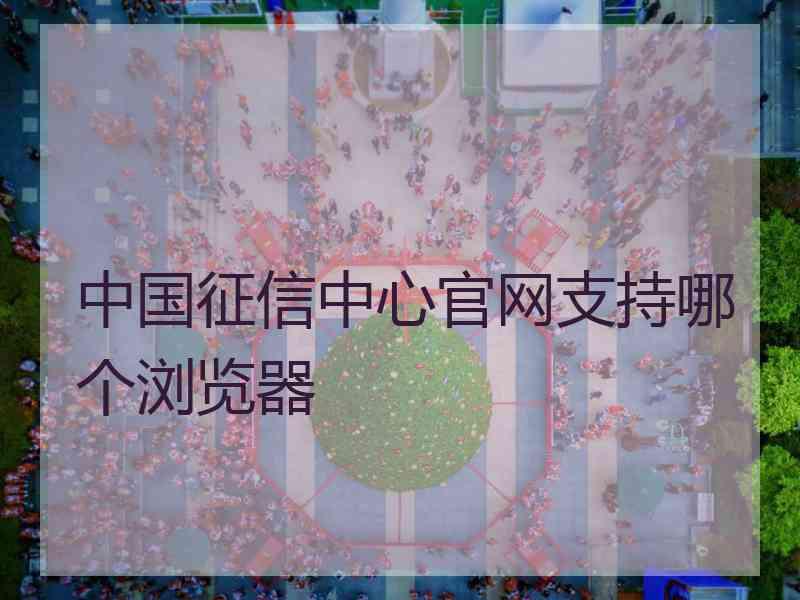 中国征信中心官网支持哪个浏览器