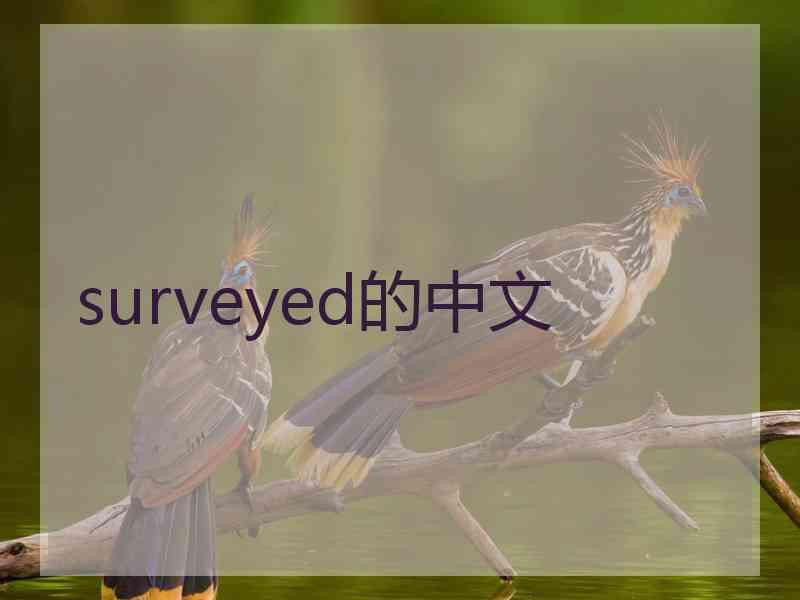 surveyed的中文
