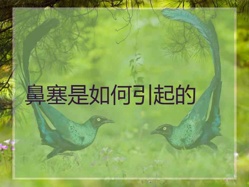 鼻塞是如何引起的