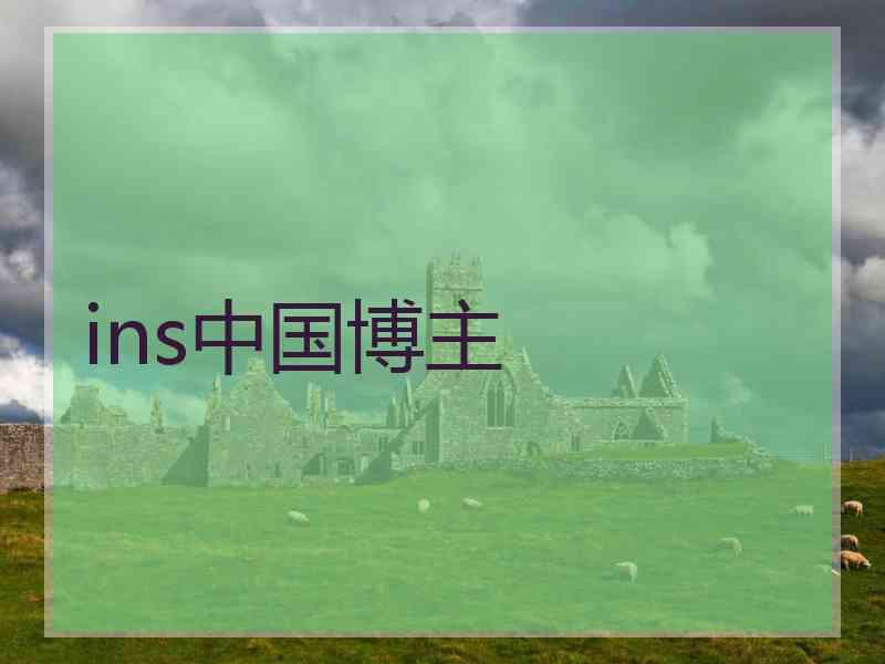 ins中国博主