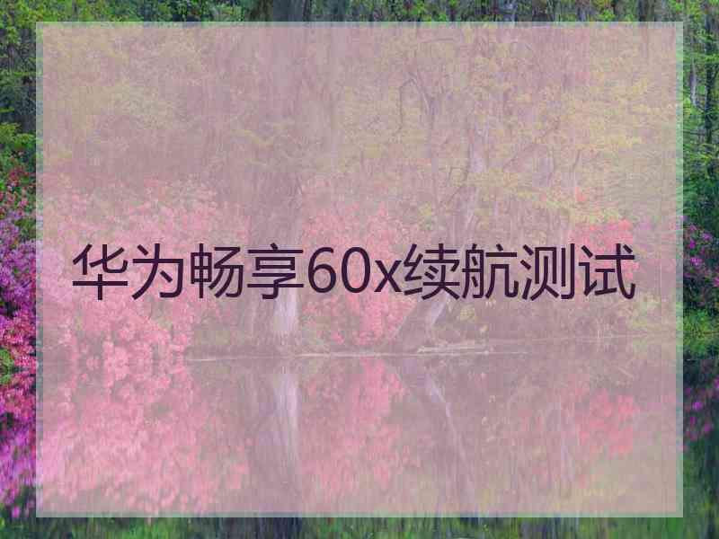 华为畅享60x续航测试