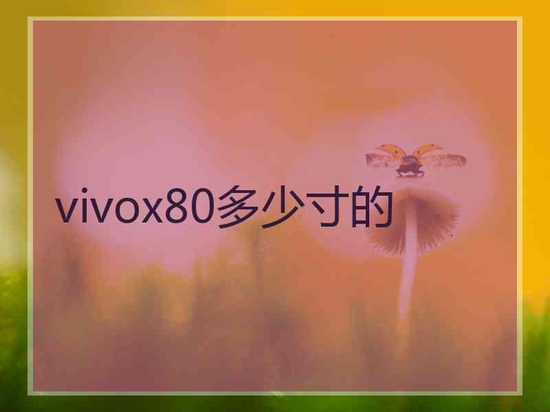vivox80多少寸的