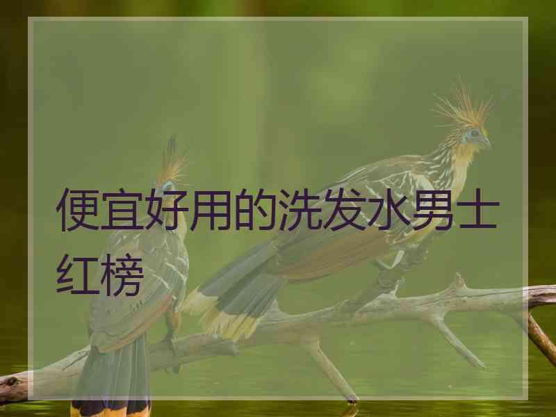 便宜好用的洗发水男士红榜