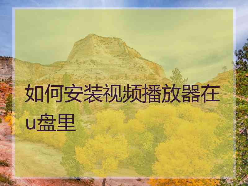 如何安装视频播放器在u盘里