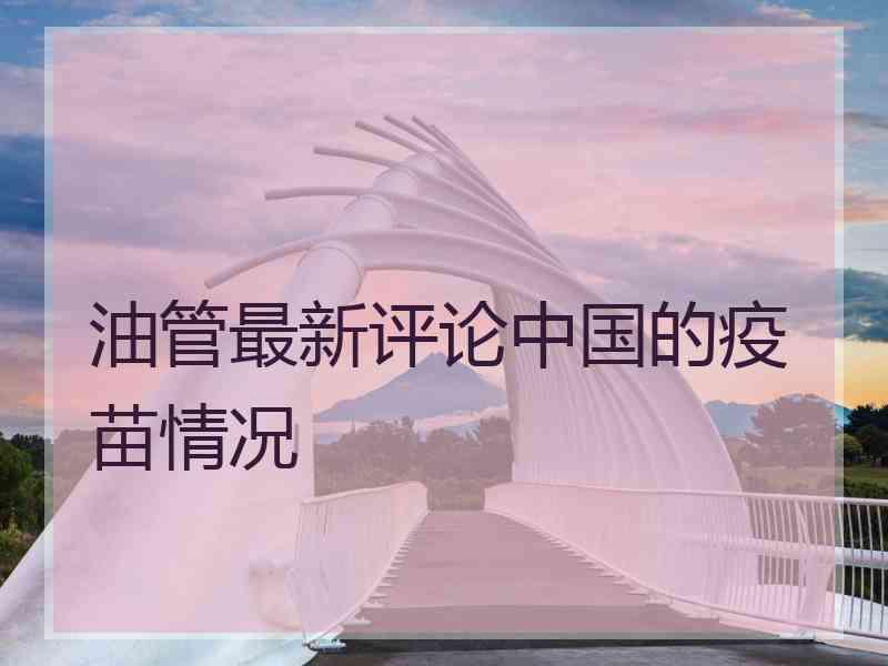 油管最新评论中国的疫苗情况
