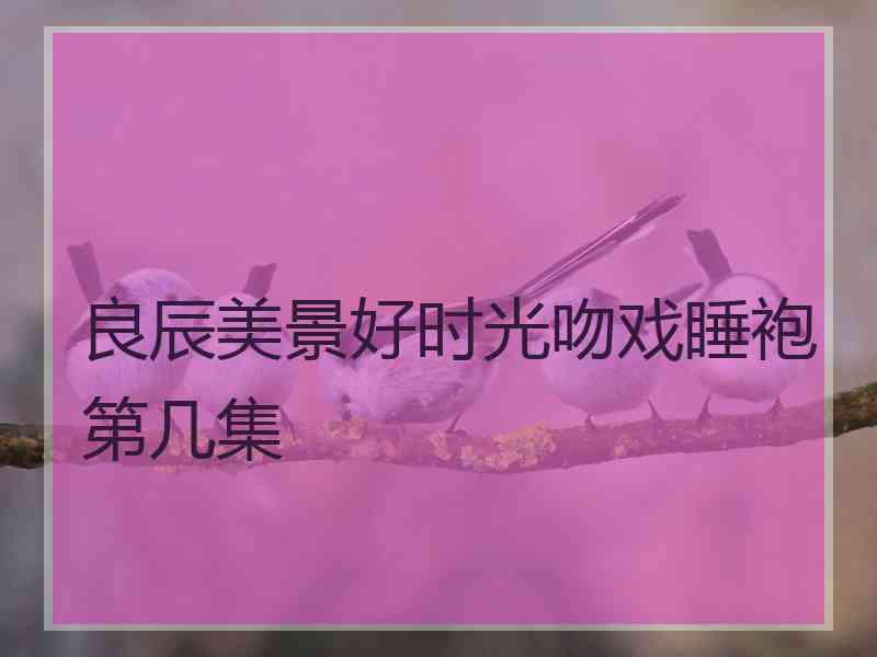 良辰美景好时光吻戏睡袍第几集