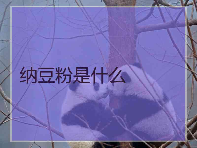 纳豆粉是什么