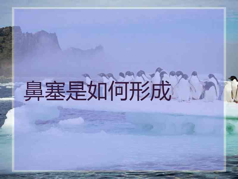 鼻塞是如何形成