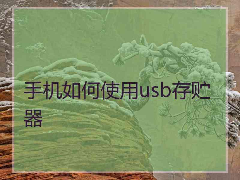 手机如何使用usb存贮器