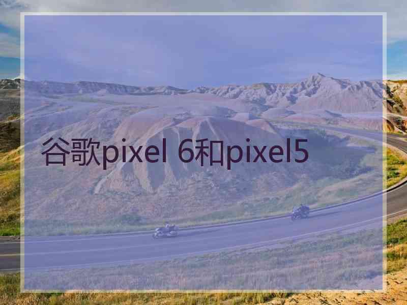 谷歌pixel 6和pixel5